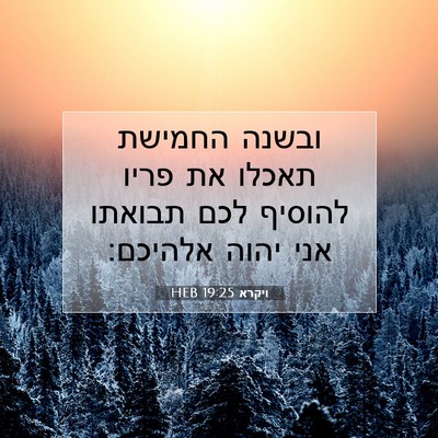 Picture 07 - ויקרא 19:25 HEB - ובשנה החמישת תאכלו את פריו - Bible Verse Picture