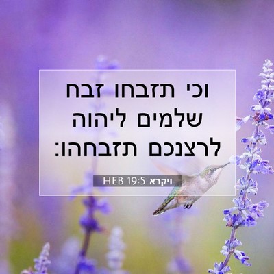 Picture 07 - ויקרא 19:5 HEB - וכי תזבחו זבח שלמים ליהוה - Bible Verse Picture