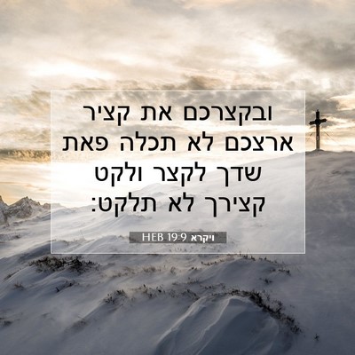 Picture 07 - ויקרא 19:9 HEB - ובקצרכם את קציר ארצכם לא - Bible Verse Picture