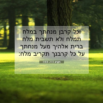 Picture 07 - ויקרא 2:13 HEB - וכל קרבן מנחתך במלח תמלח - Bible Verse Picture
