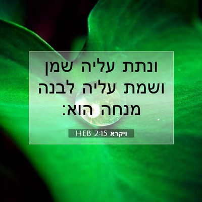 Picture 07 - ויקרא 2:15 HEB - ונתת עליה שמן ושמת עליה - Bible Verse Picture