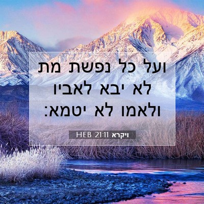 Picture 07 - ויקרא 21:11 HEB - ועל כל נפשת מת לא יבא לאביו - Bible Verse Picture