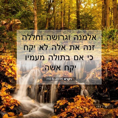 Picture 07 - ויקרא 21:14 HEB - אלמנה וגרושה וחללה זנה את - Bible Verse Picture