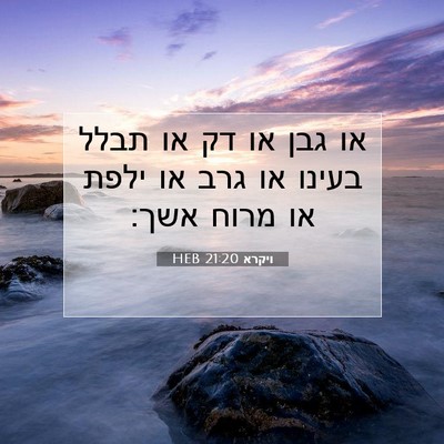 Picture 07 - ויקרא 21:20 HEB - או גבן או דק או תבלל בעינו - Bible Verse Picture