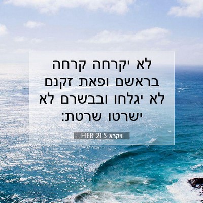 Picture 07 - ויקרא 21:5 HEB - לא יקרחה קרחה בראשם ופאת - Bible Verse Picture