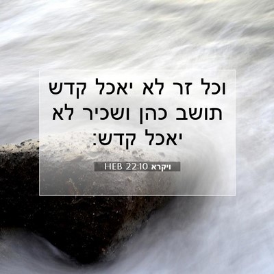 Picture 07 - ויקרא 22:10 HEB - וכל זר לא יאכל קדש תושב כהן - Bible Verse Picture