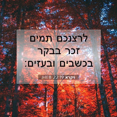 Picture 07 - ויקרא 22:19 HEB - לרצנכם תמים זכר בבקר - Bible Verse Picture