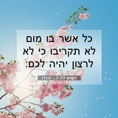 Picture 07 - ויקרא 22:20 HEB - כל אשר בו מום לא תקריבו כי - Bible Verse Picture