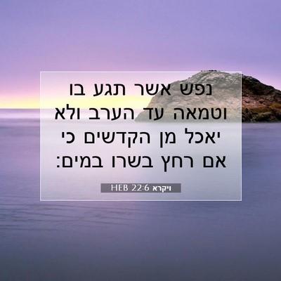 Picture 07 - ויקרא 22:6 HEB - נפש אשר תגע בו וטמאה עד - Bible Verse Picture