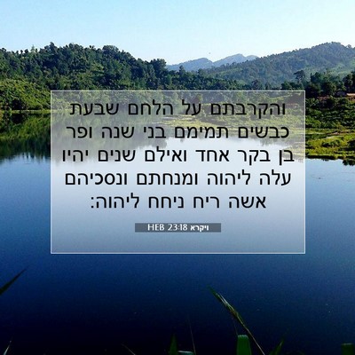 Picture 07 - ויקרא 23:18 HEB - והקרבתם על הלחם שבעת כבשים - Bible Verse Picture