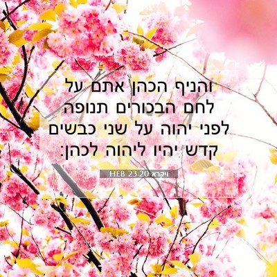 Picture 07 - ויקרא 23:20 HEB - והניף הכהן אתם על לחם - Bible Verse Picture
