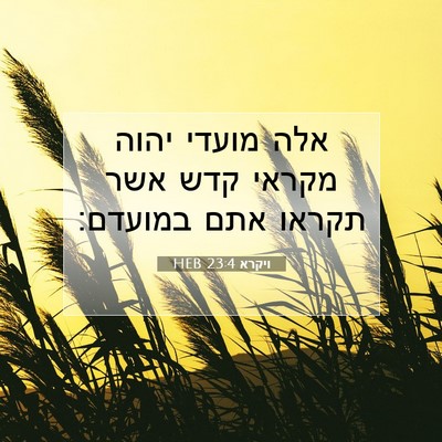Picture 07 - ויקרא 23:4 HEB - אלה מועדי יהוה מקראי קדש - Bible Verse Picture