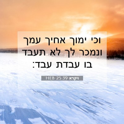 Picture 07 - ויקרא 25:39 HEB - וכי ימוך אחיך עמך ונמכר לך - Bible Verse Picture