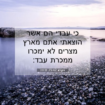 Picture 07 - ויקרא 25:42 HEB - כי עבדי הם אשר הוצאתי אתם - Bible Verse Picture