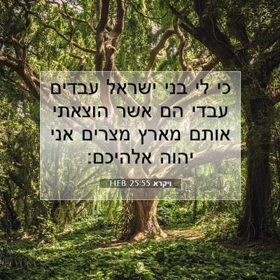 Picture 07 - ויקרא 25:55 HEB - כי לי בני ישראל עבדים עבדי - Bible Verse Picture