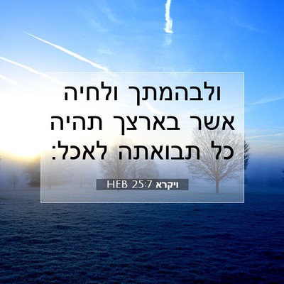 Picture 07 - ויקרא 25:7 HEB - ולבהמתך ולחיה אשר בארצך - Bible Verse Picture