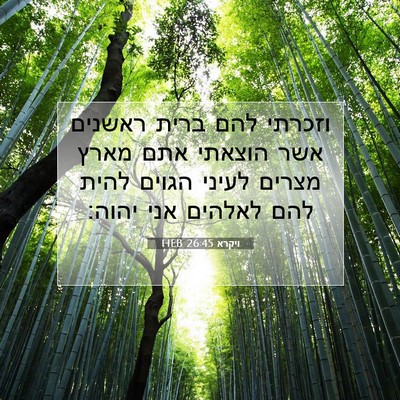 Picture 07 - ויקרא 26:45 HEB - וזכרתי להם ברית ראשנים אשר - Bible Verse Picture