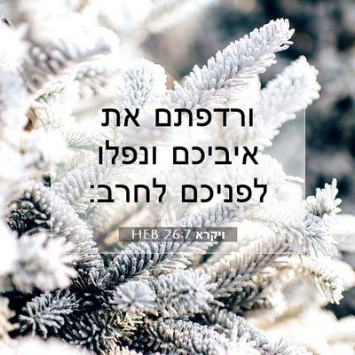 Picture 07 - ויקרא 26:7 HEB - ורדפתם את איביכם ונפלו - Bible Verse Picture