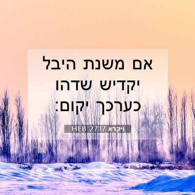 Picture 07 - ויקרא 27:17 HEB - אם משנת היבל יקדיש שדהו - Bible Verse Picture