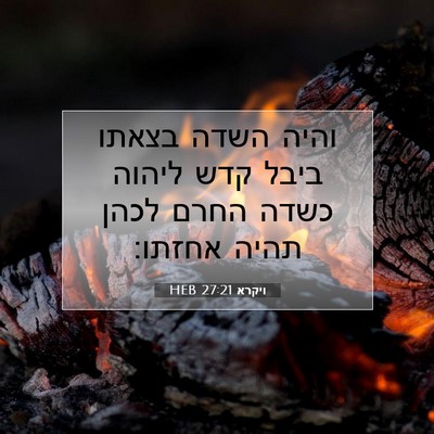 Picture 07 - ויקרא 27:21 HEB - והיה השדה בצאתו ביבל קדש - Bible Verse Picture