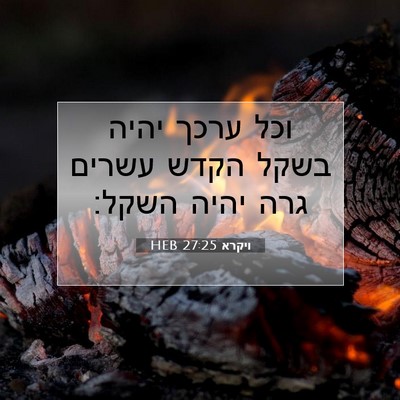 Picture 07 - ויקרא 27:25 HEB - וכל ערכך יהיה בשקל הקדש - Bible Verse Picture