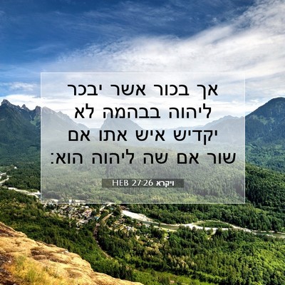 Picture 07 - ויקרא 27:26 HEB - אך בכור אשר יבכר ליהוה - Bible Verse Picture