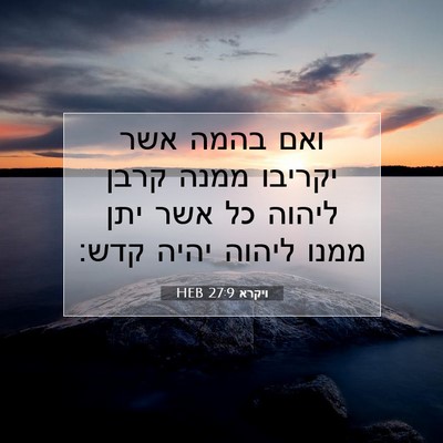 Picture 07 - ויקרא 27:9 HEB - ואם בהמה אשר יקריבו ממנה - Bible Verse Picture