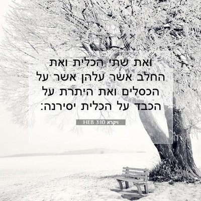 Picture 07 - ויקרא 3:10 HEB - ואת שתי הכלית ואת החלב אשר - Bible Verse Picture
