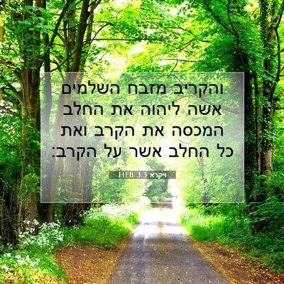 Picture 07 - ויקרא 3:3 HEB - והקריב מזבח השלמים אשה - Bible Verse Picture