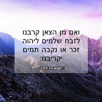 Picture 07 - ויקרא 3:6 HEB - ואם מן הצאן קרבנו לזבח - Bible Verse Picture