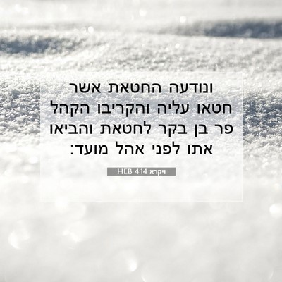 Picture 07 - ויקרא 4:14 HEB - ונודעה החטאת אשר חטאו עליה - Bible Verse Picture