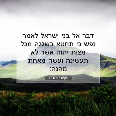 Picture 07 - ויקרא 4:2 HEB - דבר אל בני ישראל לאמר נפש - Bible Verse Picture