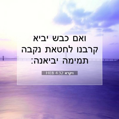 Picture 07 - ויקרא 4:32 HEB - ואם כבש יביא קרבנו לחטאת - Bible Verse Picture