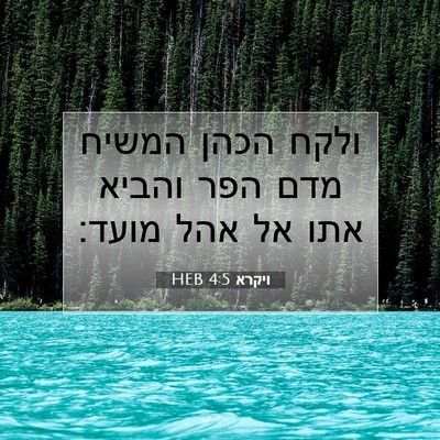 Picture 07 - ויקרא 4:5 HEB - ולקח הכהן המשיח מדם הפר - Bible Verse Picture