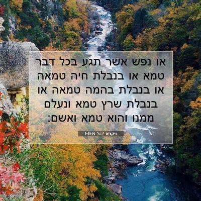 Picture 07 - ויקרא 5:2 HEB - או נפש אשר תגע בכל דבר טמא - Bible Verse Picture