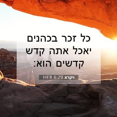 Picture 07 - ויקרא 6:29 HEB - כל זכר בכהנים יאכל אתה קדש - Bible Verse Picture