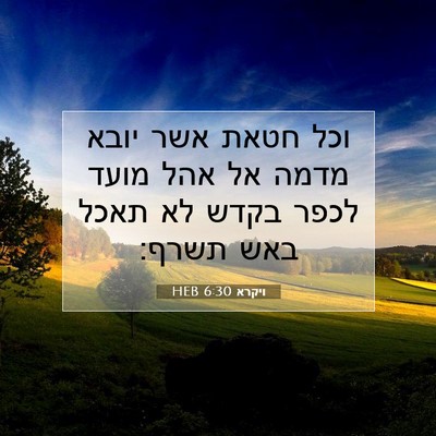 Picture 07 - ויקרא 6:30 HEB - וכל חטאת אשר יובא מדמה אל - Bible Verse Picture