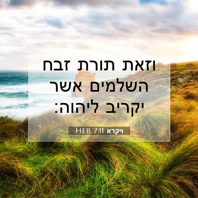 Picture 07 - ויקרא 7:11 HEB - וזאת תורת זבח השלמים אשר - Bible Verse Picture