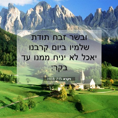 Picture 07 - ויקרא 7:15 HEB - ובשר זבח תודת שלמיו ביום - Bible Verse Picture