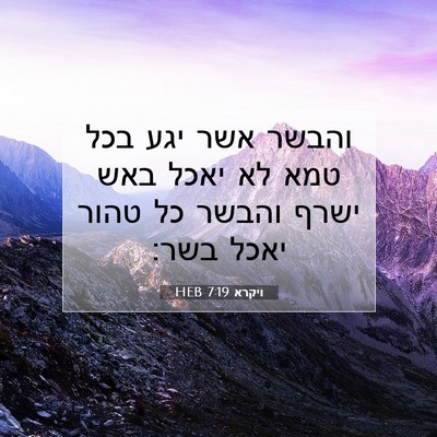 Picture 07 - ויקרא 7:19 HEB - והבשר אשר יגע בכל טמא לא - Bible Verse Picture