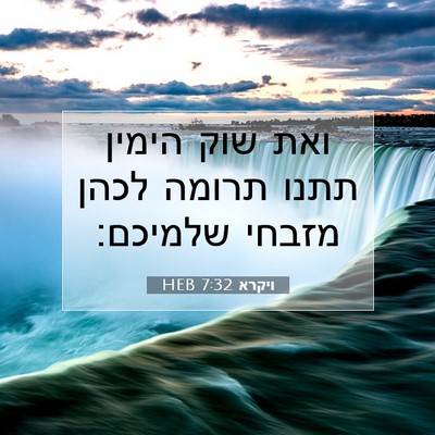 Picture 07 - ויקרא 7:32 HEB - ואת שוק הימין תתנו תרומה - Bible Verse Picture