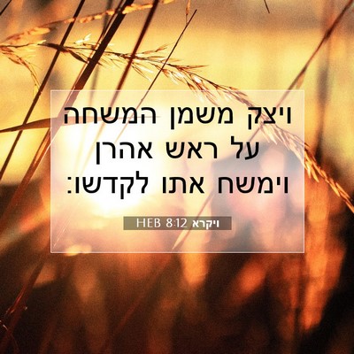 Picture 07 - ויקרא 8:12 HEB - ויצק משמן המשחה על ראש אהרן - Bible Verse Picture