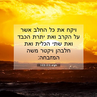 Picture 07 - ויקרא 8:16 HEB - ויקח את כל החלב אשר על הקרב - Bible Verse Picture