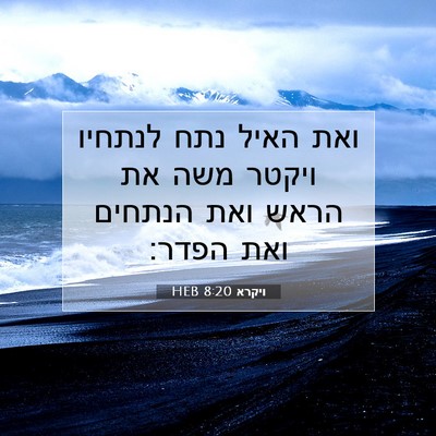 Picture 07 - ויקרא 8:20 HEB - ואת האיל נתח לנתחיו ויקטר - Bible Verse Picture