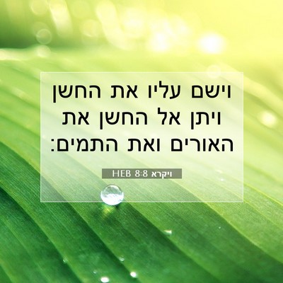 Picture 07 - ויקרא 8:8 HEB - וישם עליו את החשן ויתן אל - Bible Verse Picture
