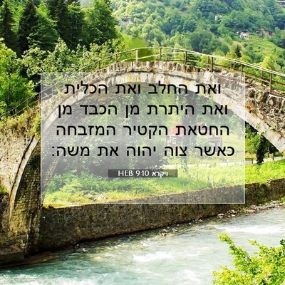 Picture 07 - ויקרא 9:10 HEB - ואת החלב ואת הכלית ואת - Bible Verse Picture