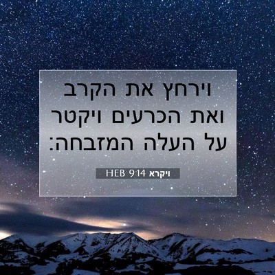 Picture 07 - ויקרא 9:14 HEB - וירחץ את הקרב ואת הכרעים - Bible Verse Picture