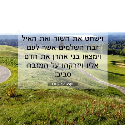 Picture 07 - ויקרא 9:18 HEB - וישחט את השור ואת האיל זבח - Bible Verse Picture