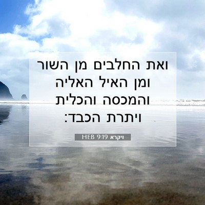 Picture 07 - ויקרא 9:19 HEB - ואת החלבים מן השור ומן האיל - Bible Verse Picture
