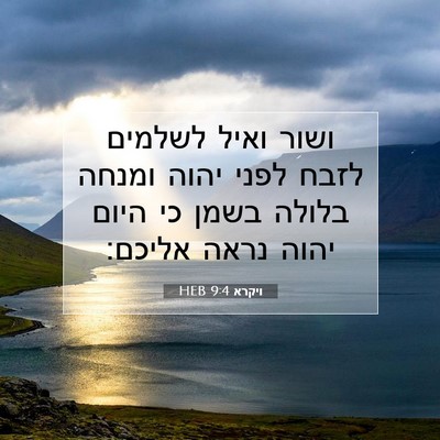 Picture 07 - ויקרא 9:4 HEB - ושור ואיל לשלמים לזבח לפני - Bible Verse Picture